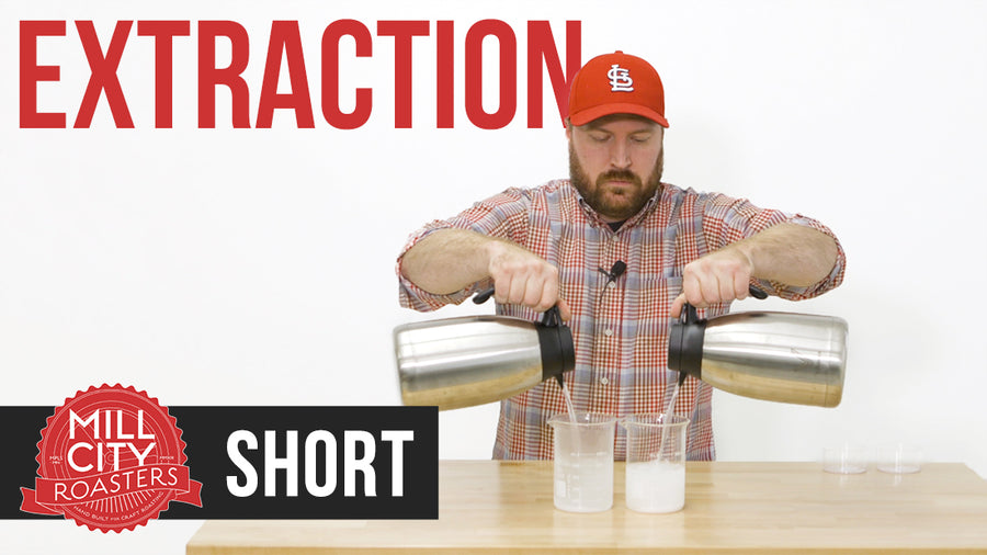 Educational Short: Brewing, How Temperature Affects Extraction