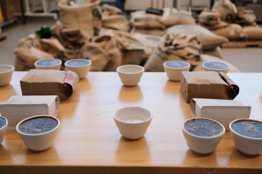 Notes from the Cupping Table: July 2025