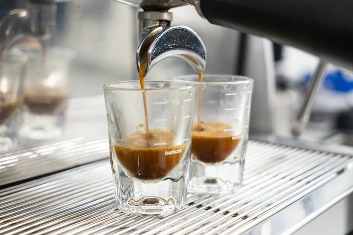 Two glass espresso cups positioned on a drip tray underneath a portafilter. Dark, syrupy espresso is pouring into the cups from the portafilter spouts.