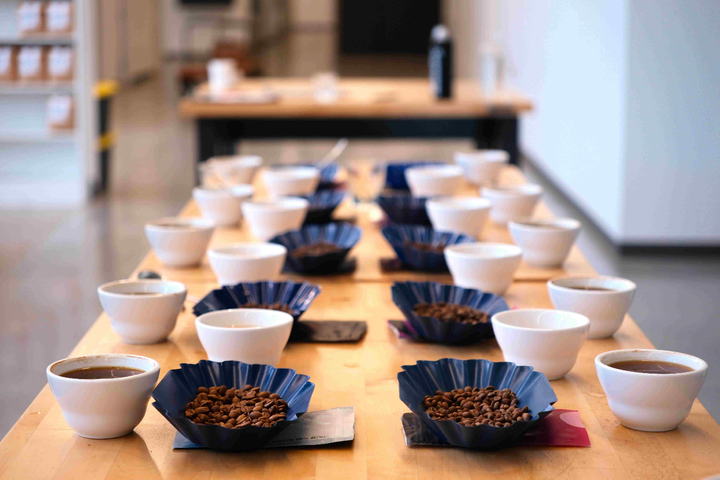 Notes from the Cupping Table: August 2025
