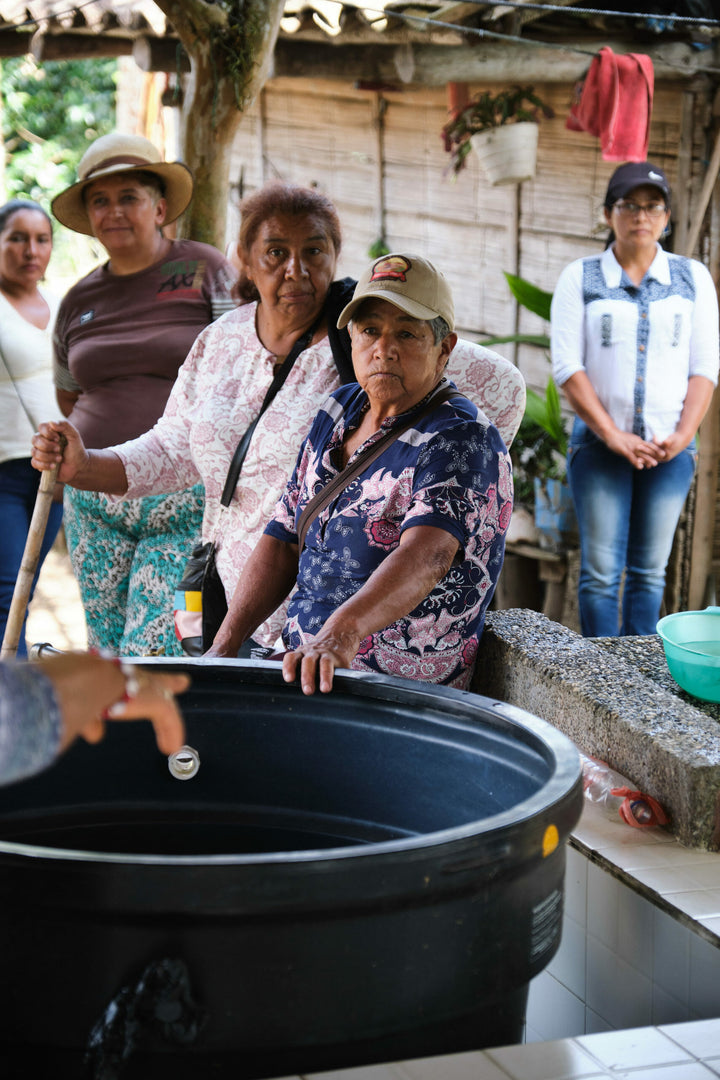 Colombia Cauca AMACA: Empowering Women Coffee Producers