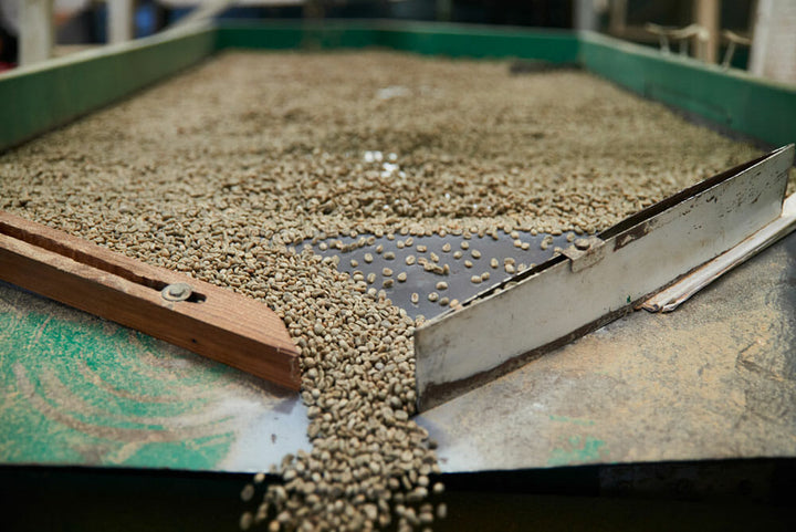 Green coffee laying out on a table is being funneled through a small opening made of slats of woof