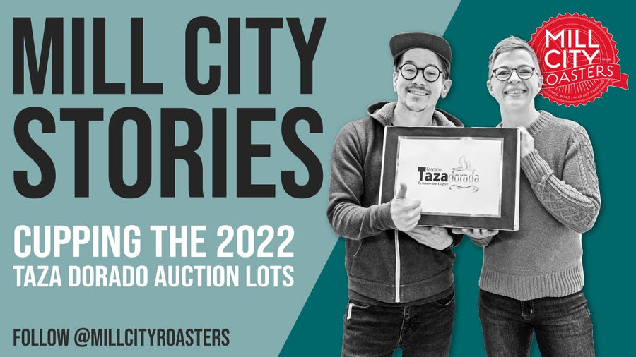 Cupping The 2022 Taza Dorado Auction Lots