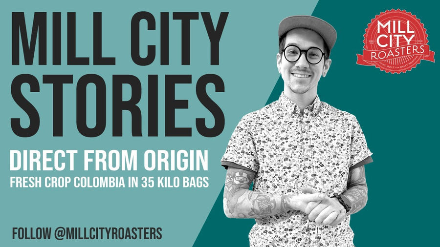 Direct From Origin Fresh Crop Colombia In 35 Kilo Bags