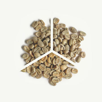 Espresso blend green coffee photo showing division of blend components in a pie chart like photo