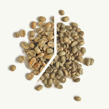 Snowblind green coffee blend photo showing division of blend components in a pie chart like photo