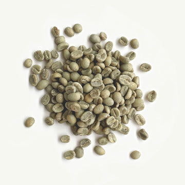 Ethiopia - Gugi Arsosala, Washed