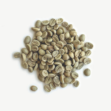 Colombia - Cauca Argelia, Washed