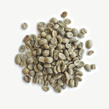 Guatemala - Huehuetenango Waykan, Washed