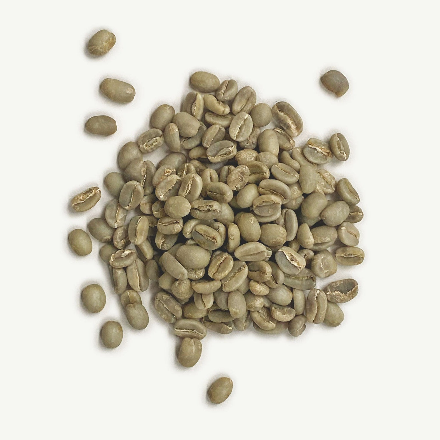 Ethiopia - Yirgacheffe Abaya, Washed