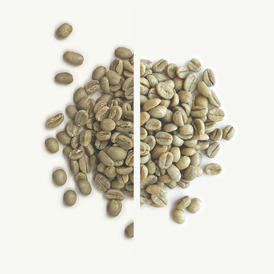 Snowblind Seasonal Blend