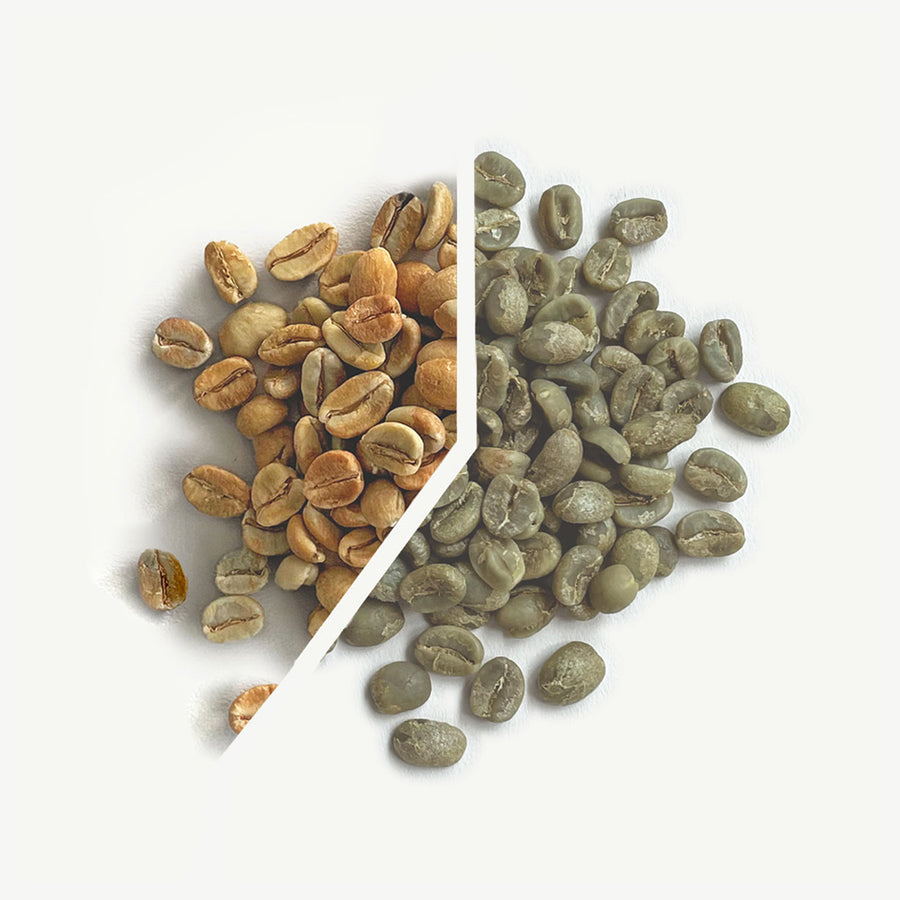 Hibernate Holiday Blend