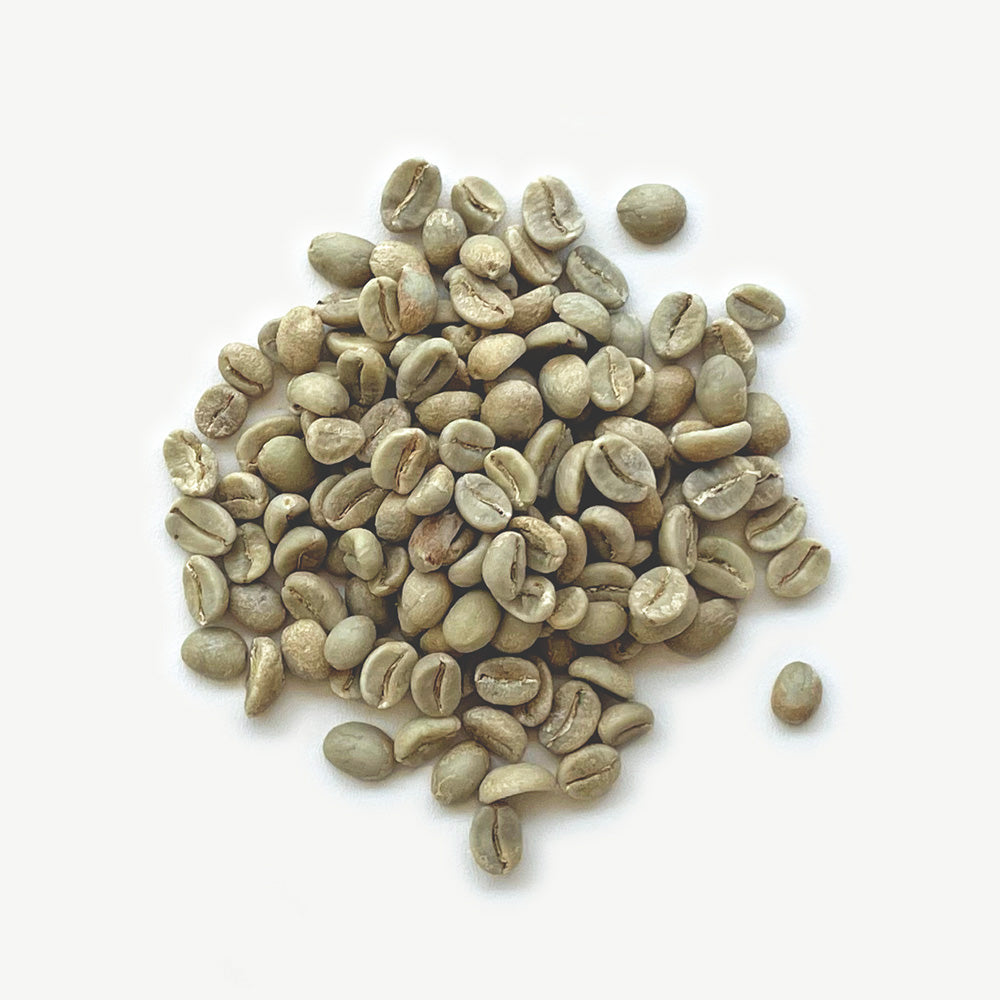 Colombia - Cauca Gran Galope, Washed