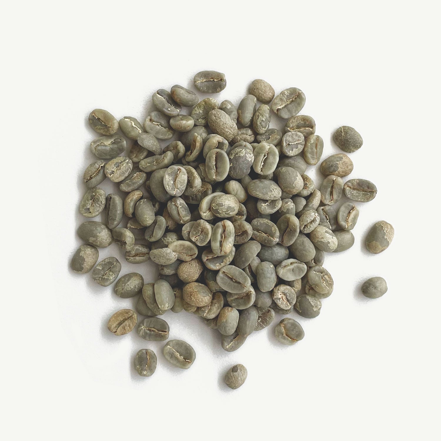 Guatemala - Huehuetenango Quetzal, Washed