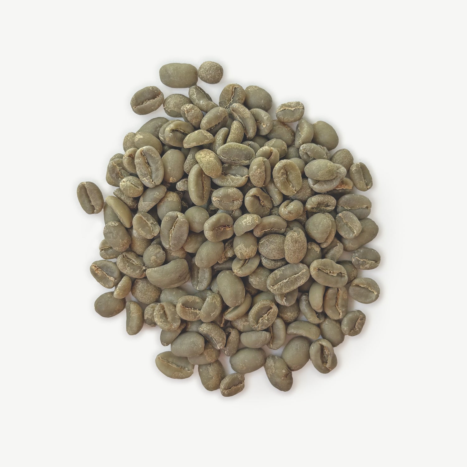 Ethiopia - West Arsi Refisa, Washed