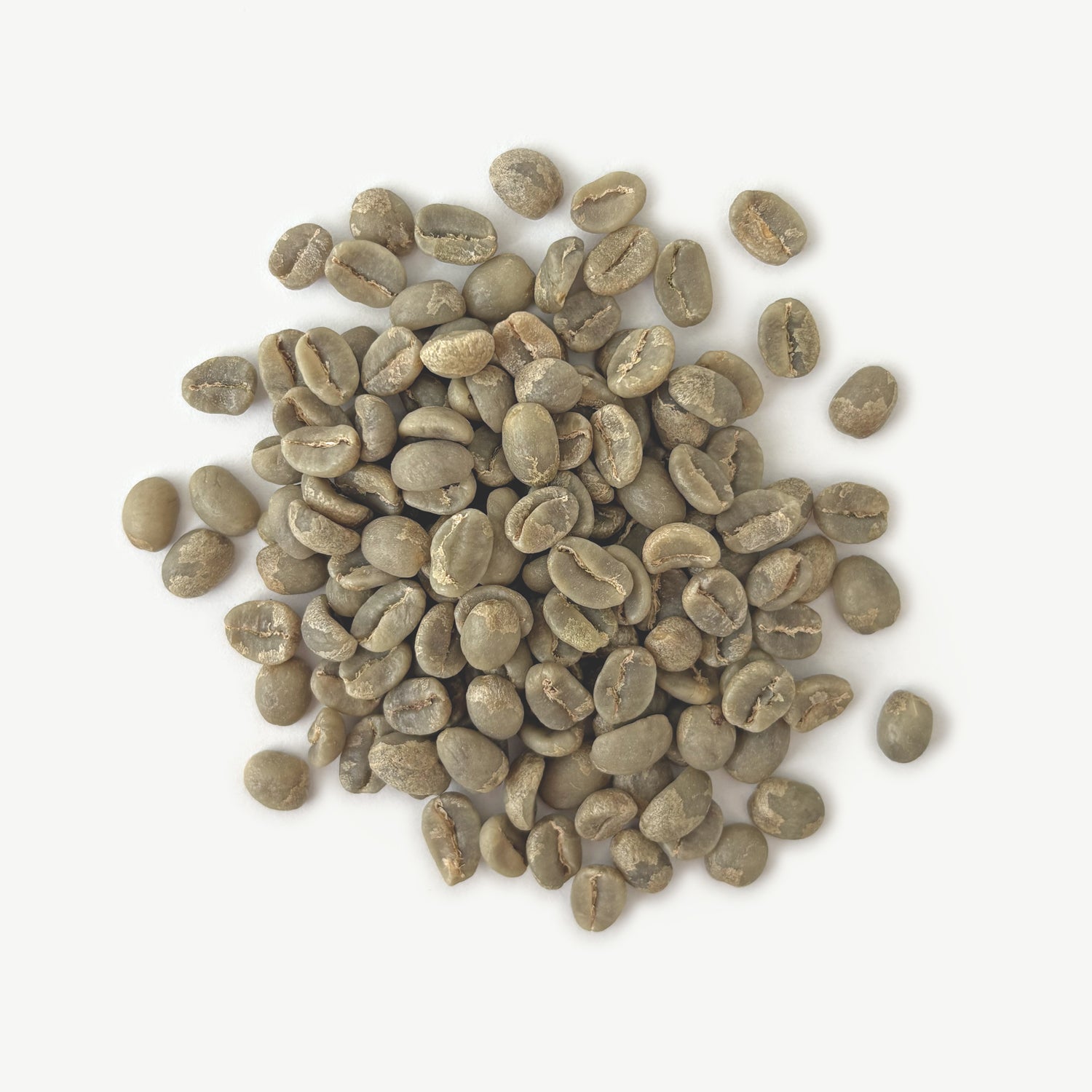 Burundi - Kayanza Masha, Washed