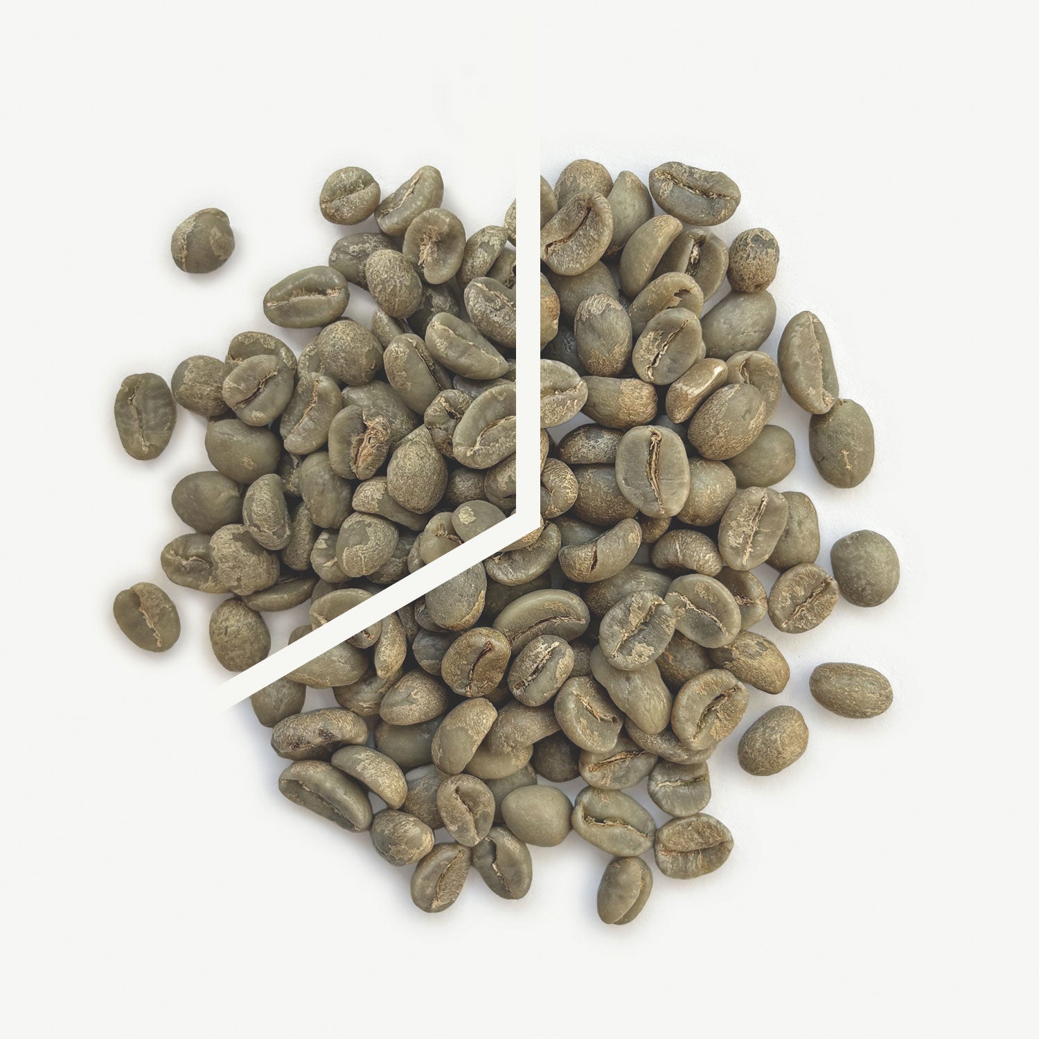 Snowblind Holiday Blend