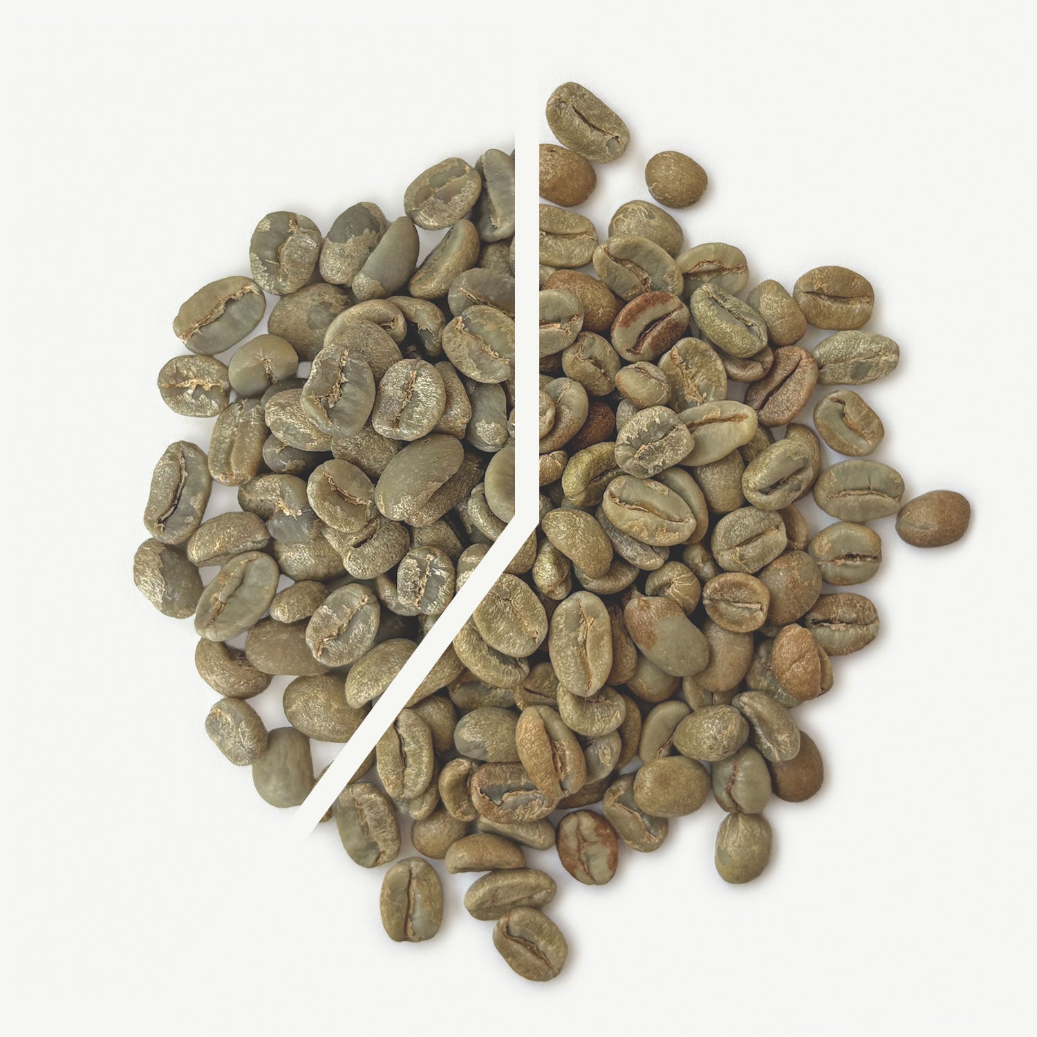 Hibernate Holiday Blend
