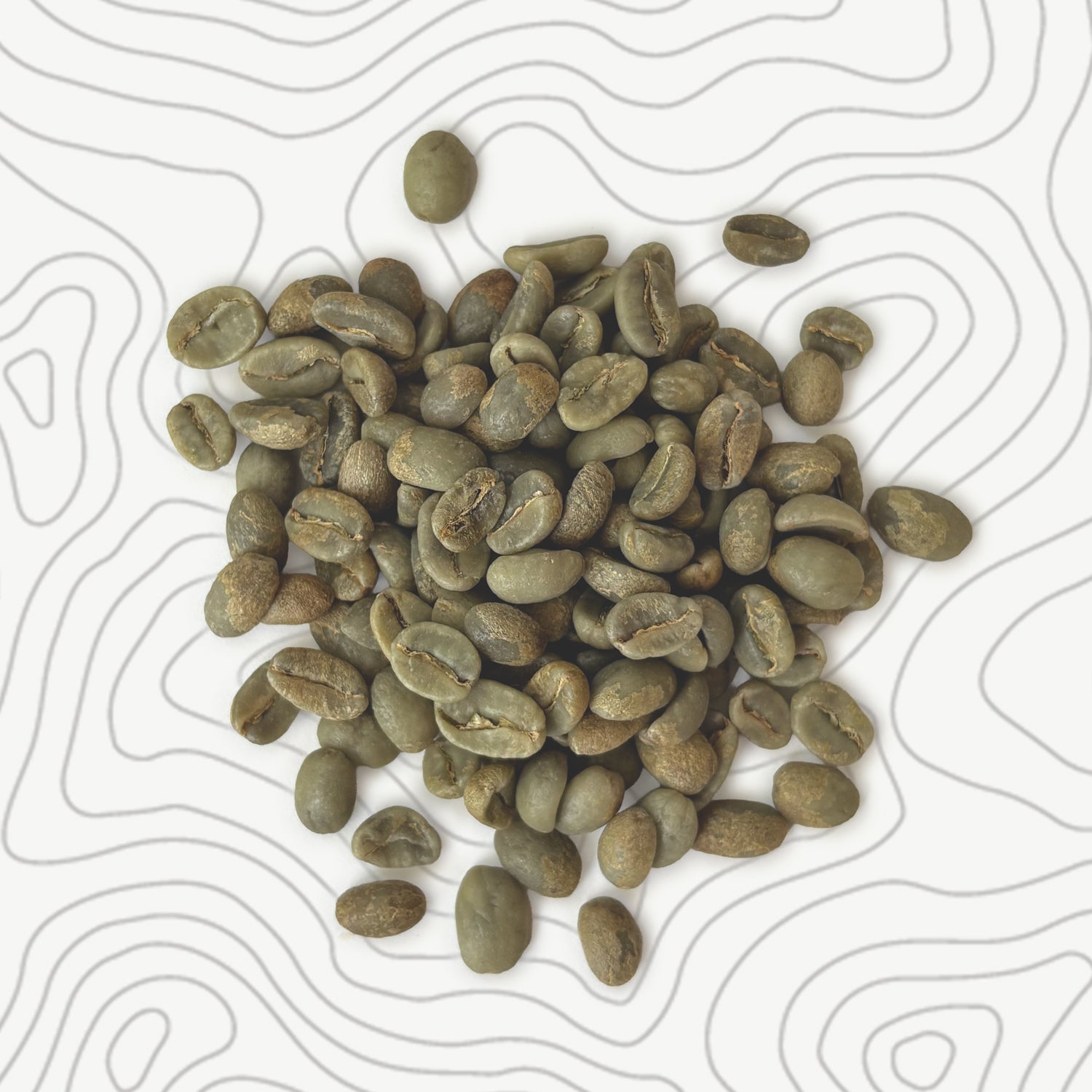 Colombia - Carlos Sequera - Finca La Esperanza - Pink Bourbon - Washed