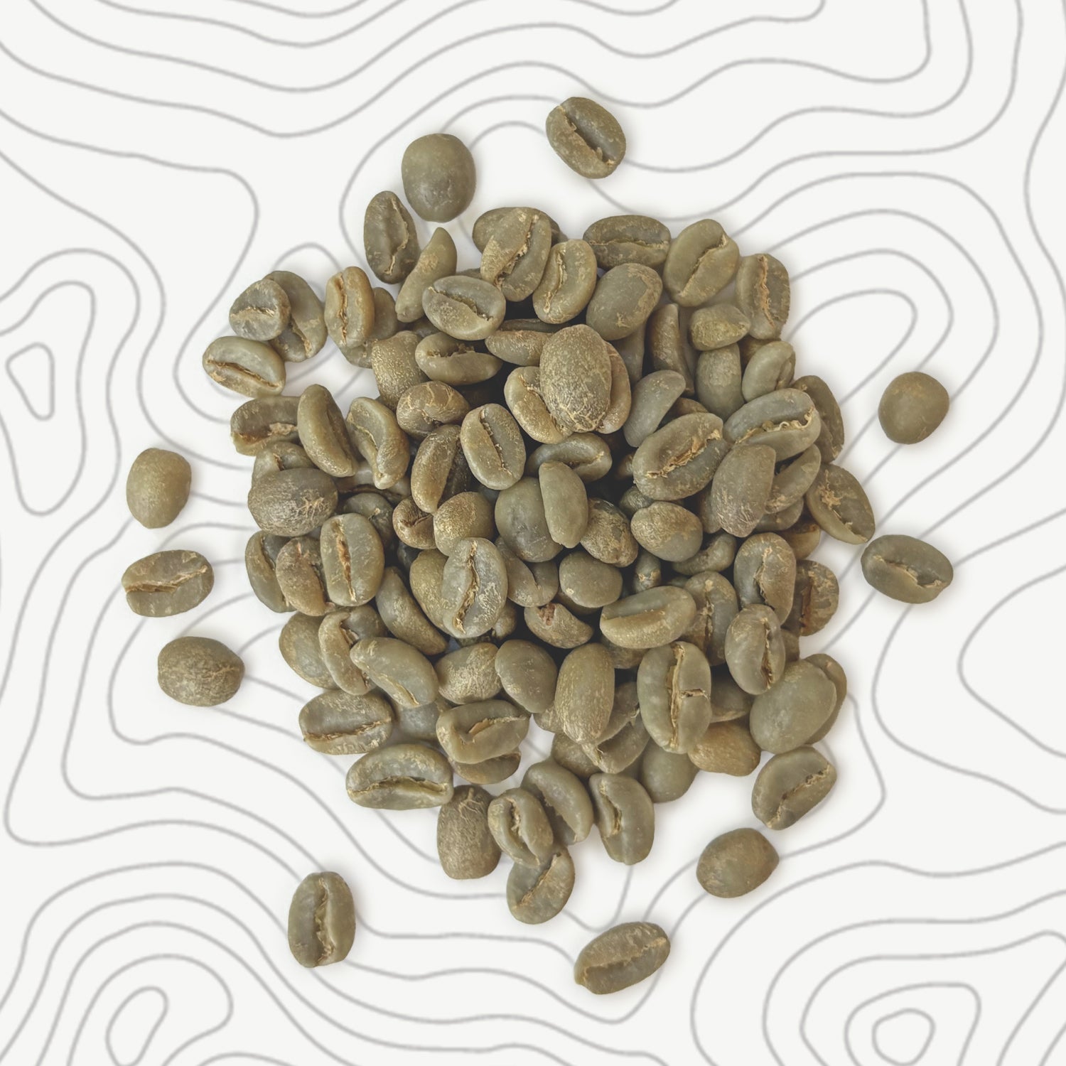 Colombia - Arnulfo Leguizamo - Finca La Primavera - Sidra - Washed