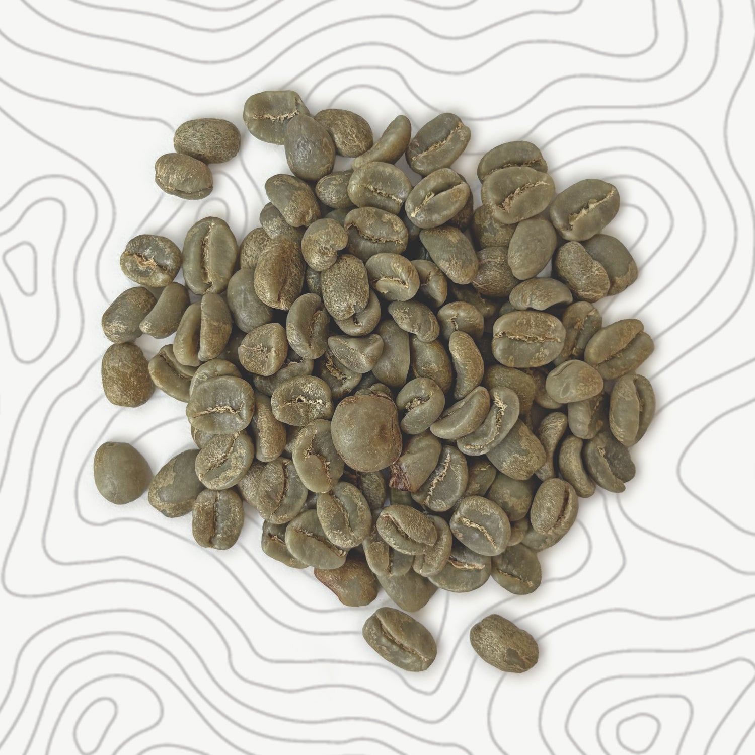 Colombia - Faiber Bolanos - Finca La Esperanza - Caturra - Anaerobic Washed