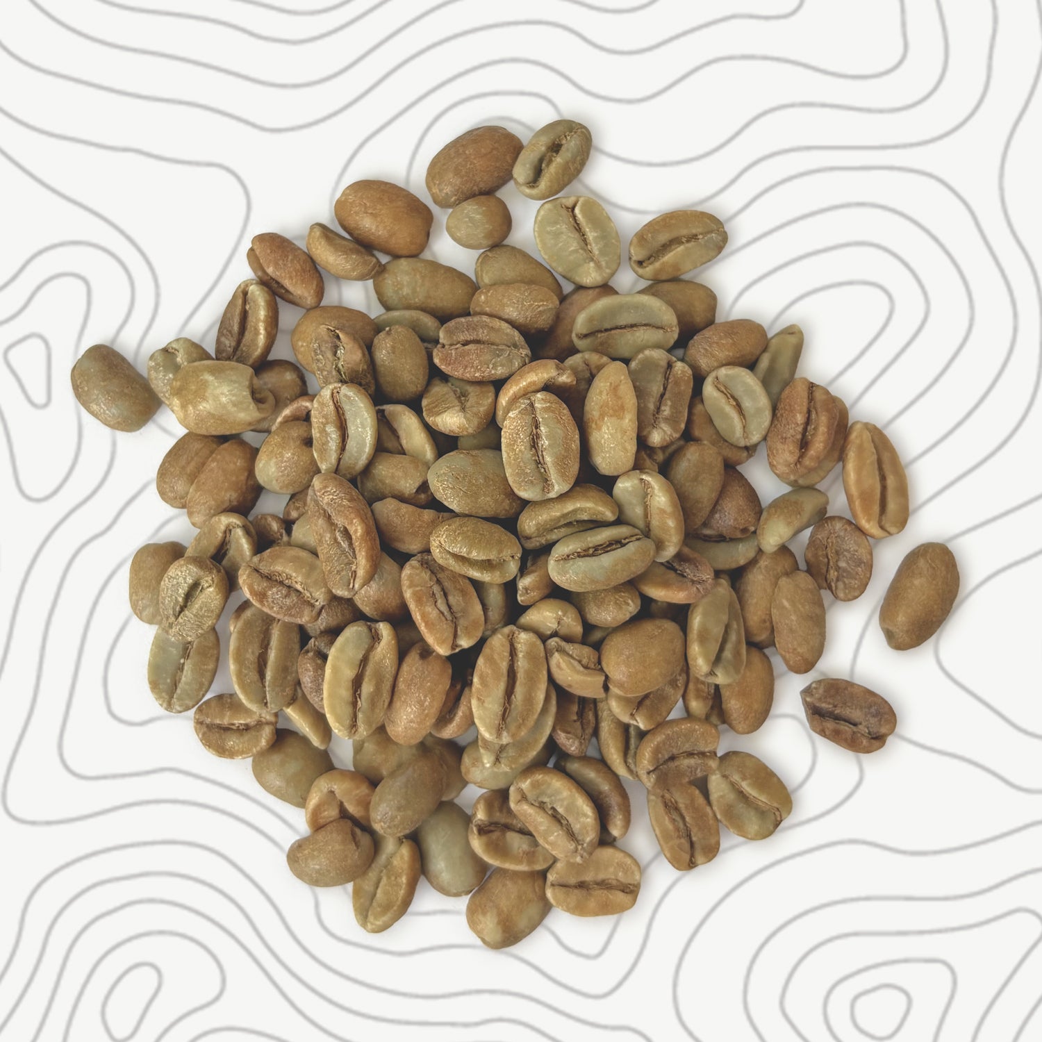 Colombia - Natalia Lezama Ramirez - Finca Alta Gracia - Gesha - Natural