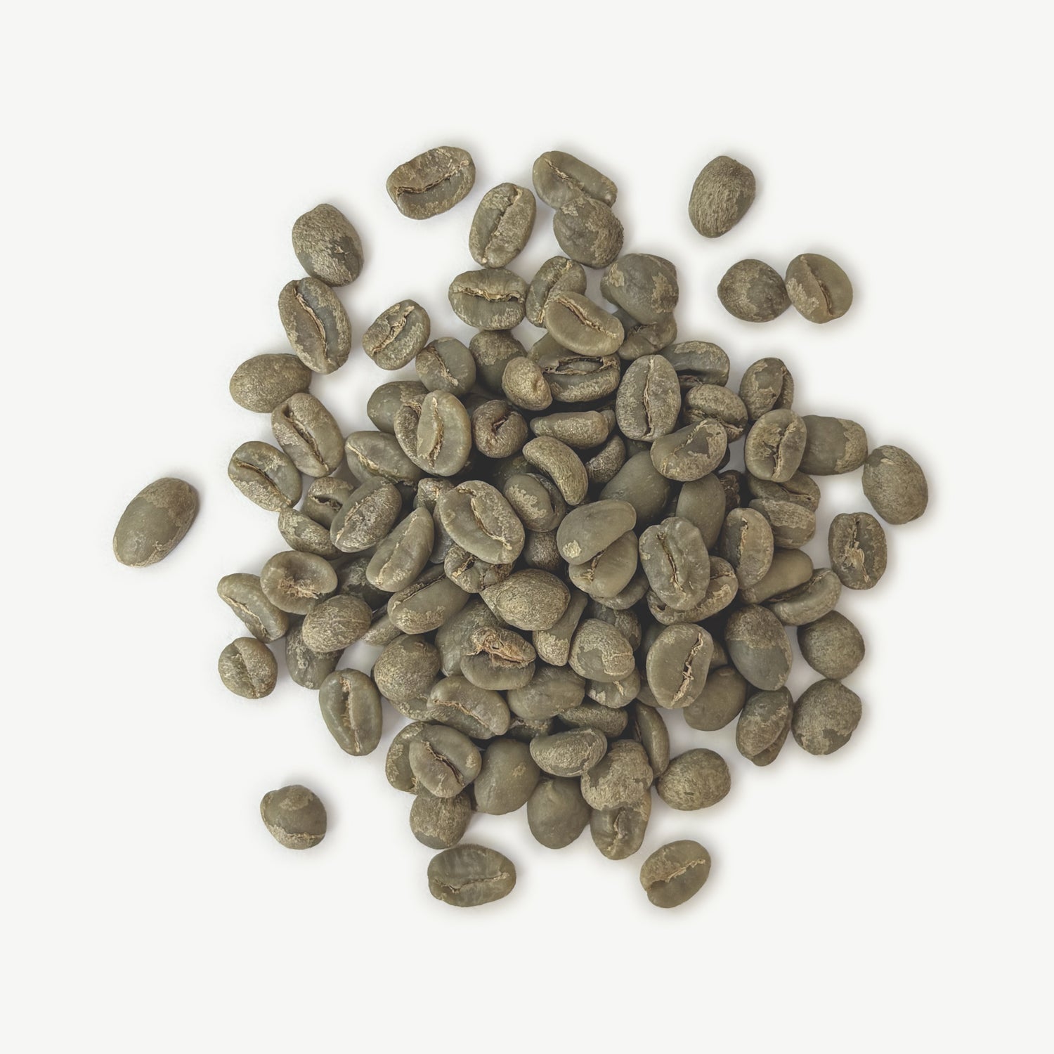 Kenya - Kirinyaga Kiamugumo AB, Washed
