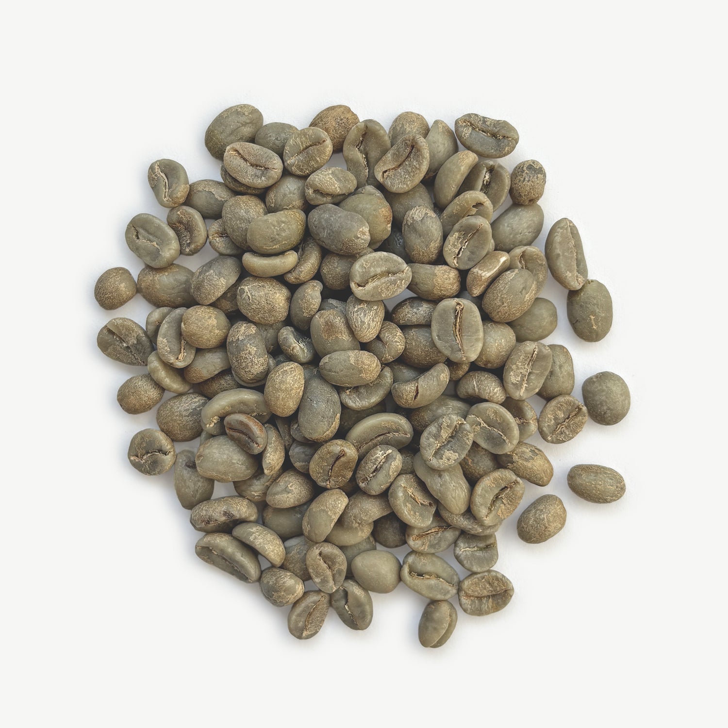 Colombia - Cauca ARGCAFEE Women Producers, Washed