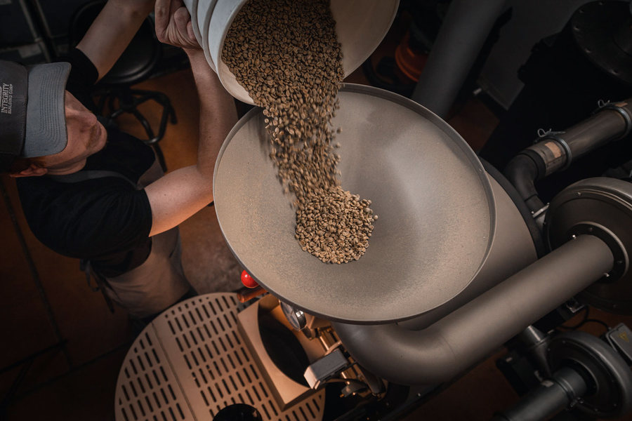 Roaster operator pours a bucket of green coffee into the roaster hopper