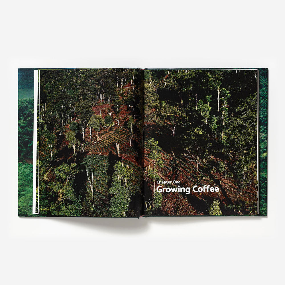 Terroir: Coffee from Seed to Harvest