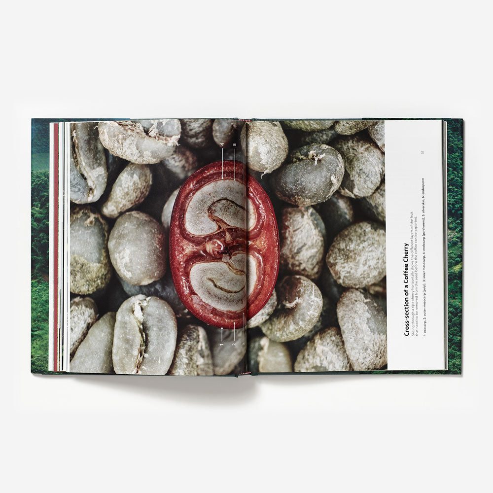 Terroir: Coffee from Seed to Harvest