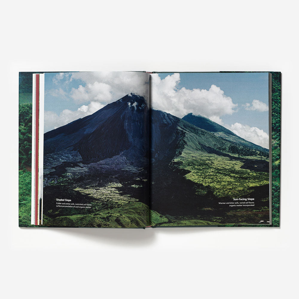 Terroir: Coffee from Seed to Harvest