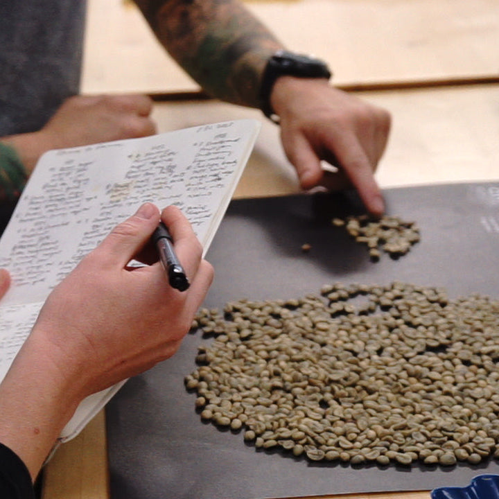 Green Coffee Evaluation