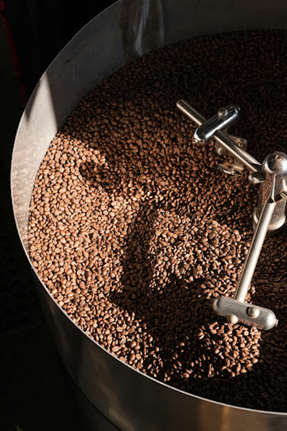 Roasted coffee beans in the cooling tray of a roaster.